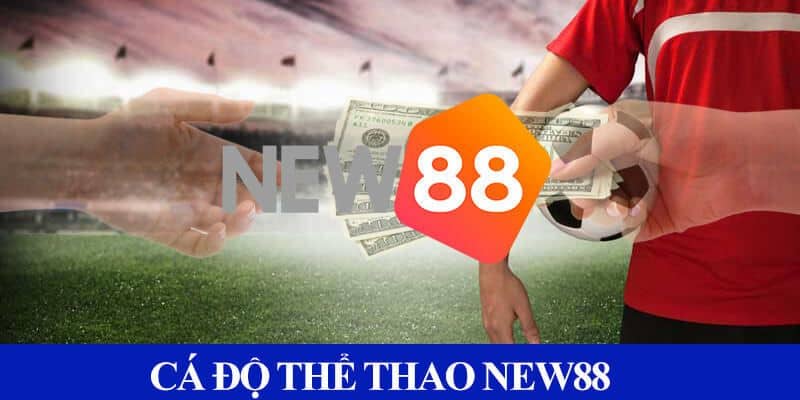 Lưu ý khi chơi thể thao New88