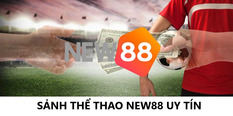 Sảnh thể thao uy tín New88