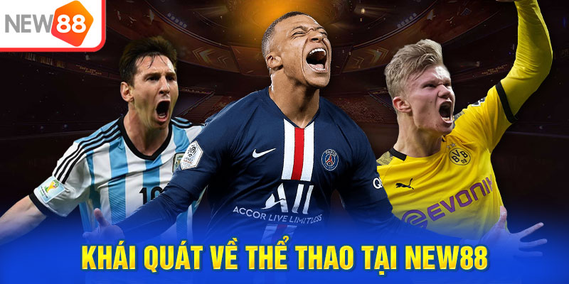 the thao new88