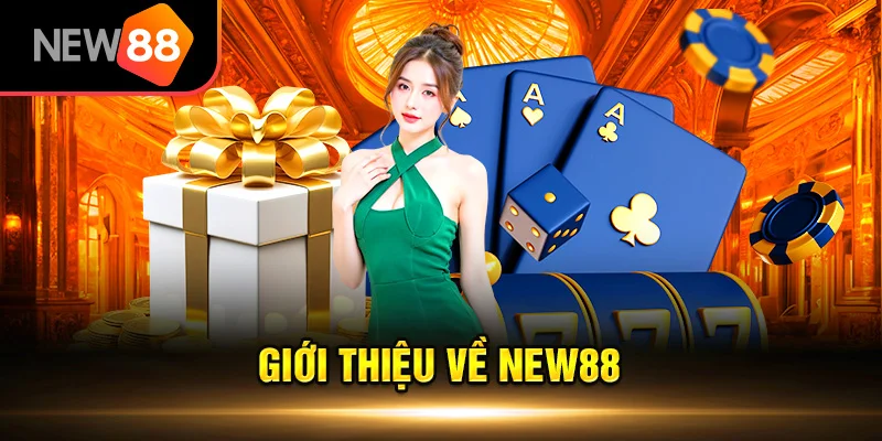 Các dữ liệu nền tảng liên quan đến New88